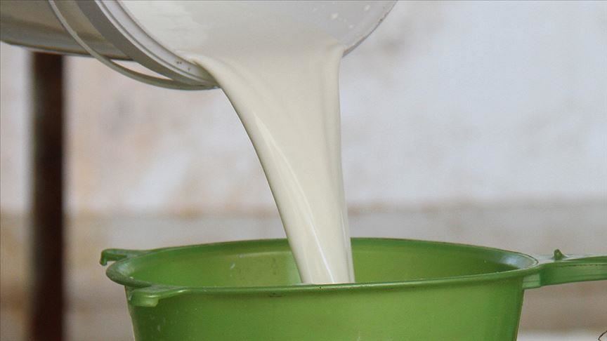 Ethiopian Dairy Sector Achieves Remarkable Growth