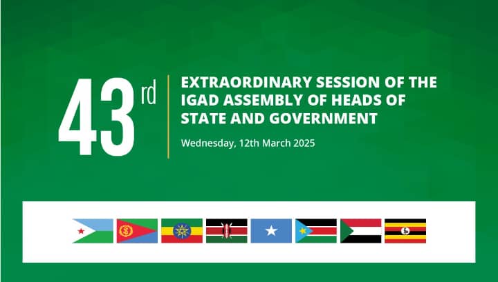 IGAD: South Sudan Stability Hinges on 2018 Revitalized Agreement