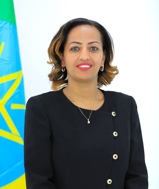 Ethiopia Making Strides in Localizing Specialized Medical Care, Health Minister Says