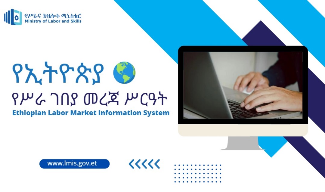 Ethiopian Labor Market Information System Project Office Develops Over 23 Job Databases