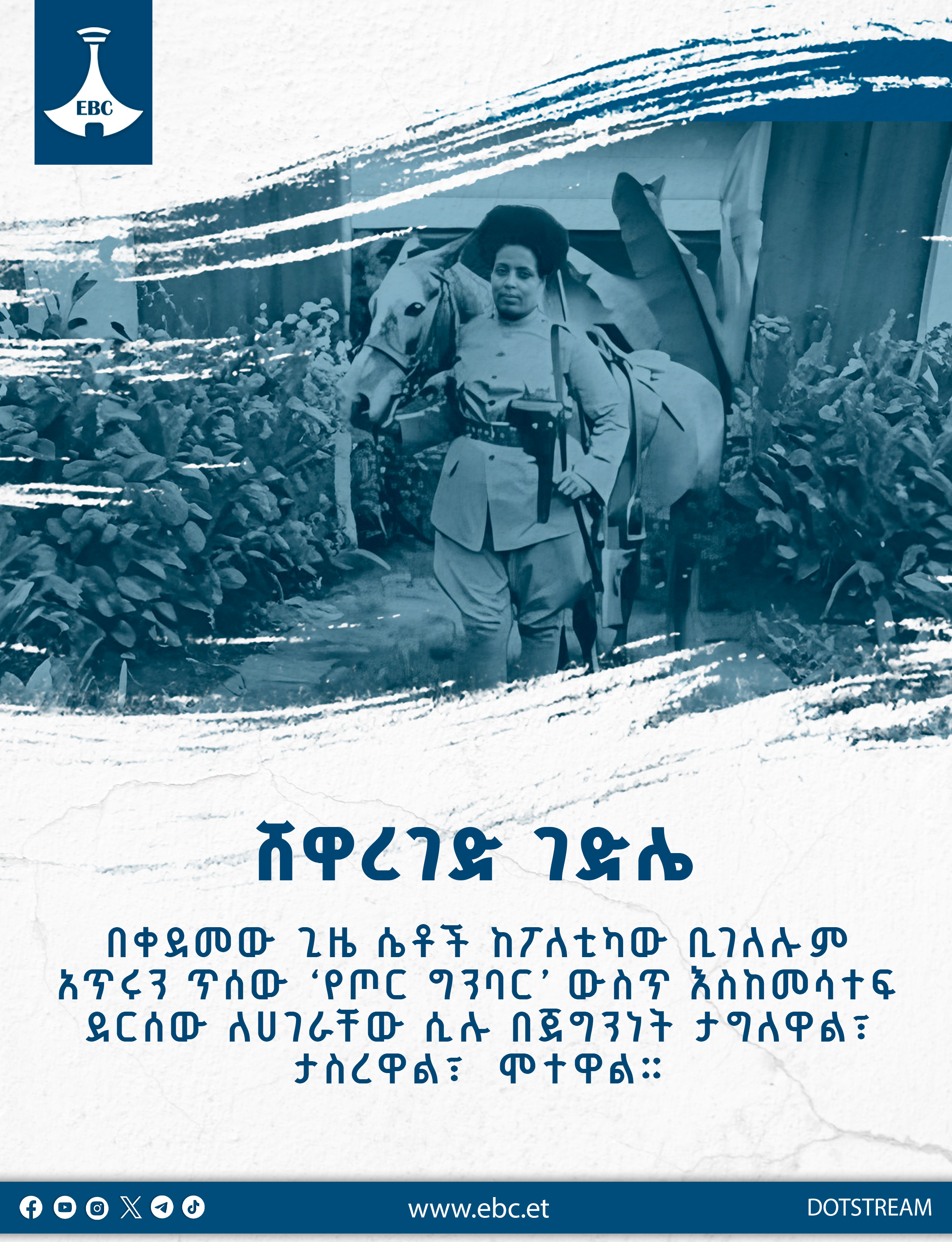 ሸዋረገድ ገድሌ - የሀገር ጋሻ