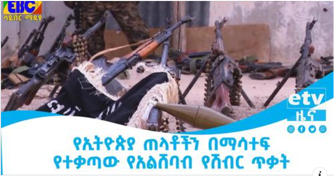 አልሸባብ የሽብር ቡድን ያደረጋቸው የሽብር ጥቃት ሙከራዎች የኢትዮጵያ የውስጥና የውጭ ጠላቶችን ያሳተፈ መሆኑን የቀድሞ ብሔራዊ ደህንነት ምክትል ሀላፊ ዶ/ር አስማማው ቀለሙ ተናገሩ