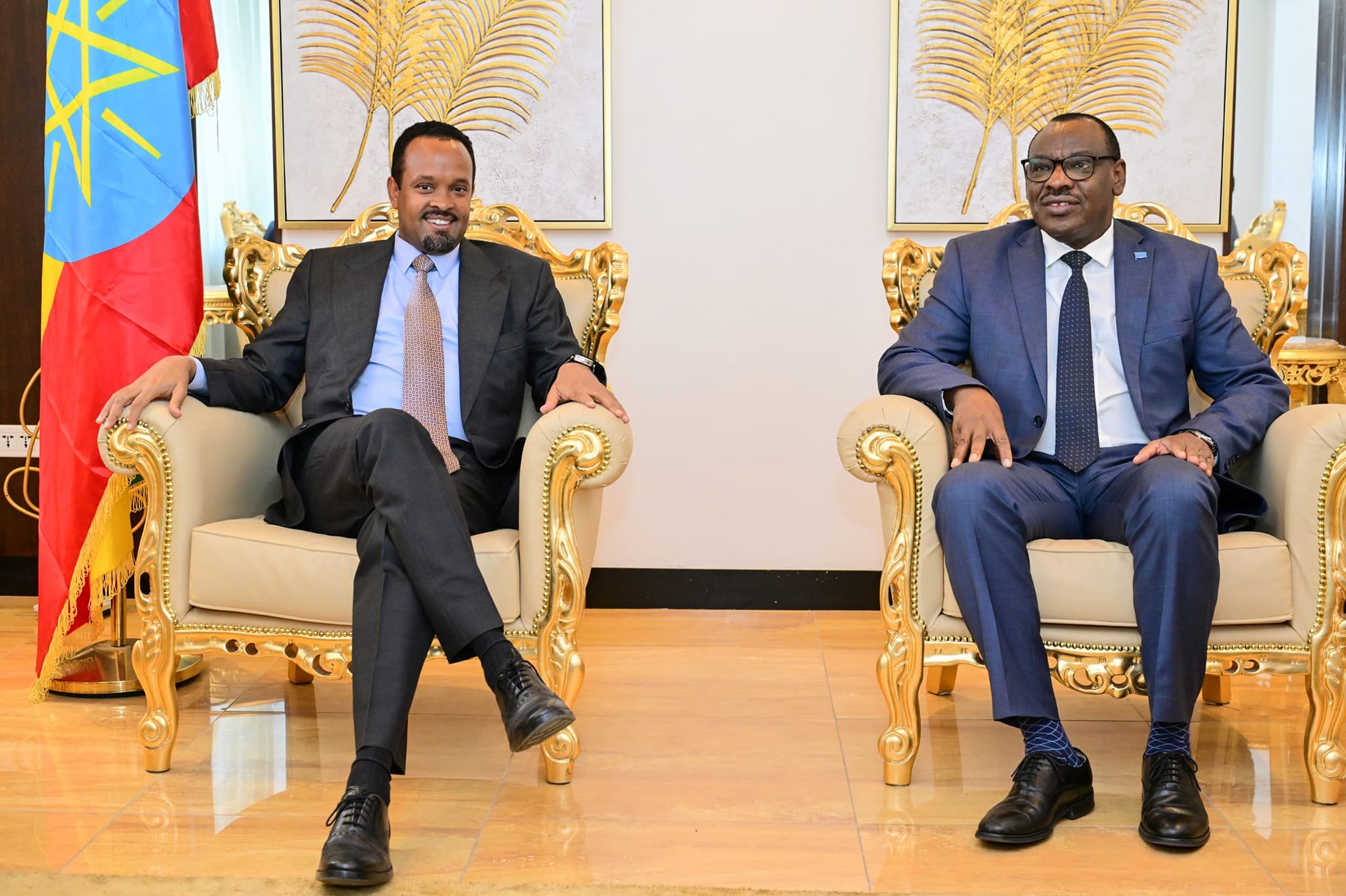 The Finance Minister of Ethiopia Discusses Collaboration with ECA