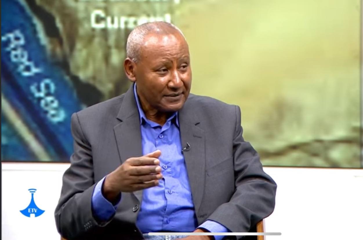 Ethiopia, Somaliland MoU Is No Different from Related Agreements in the world: Prof. Ayele Bekri