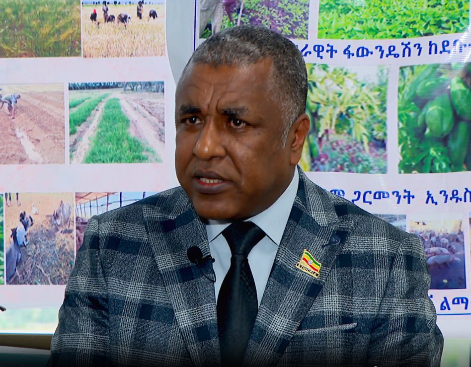 Ethiopia to Double Wheat Surplus as It Aims to Be Largest Producer in Africa