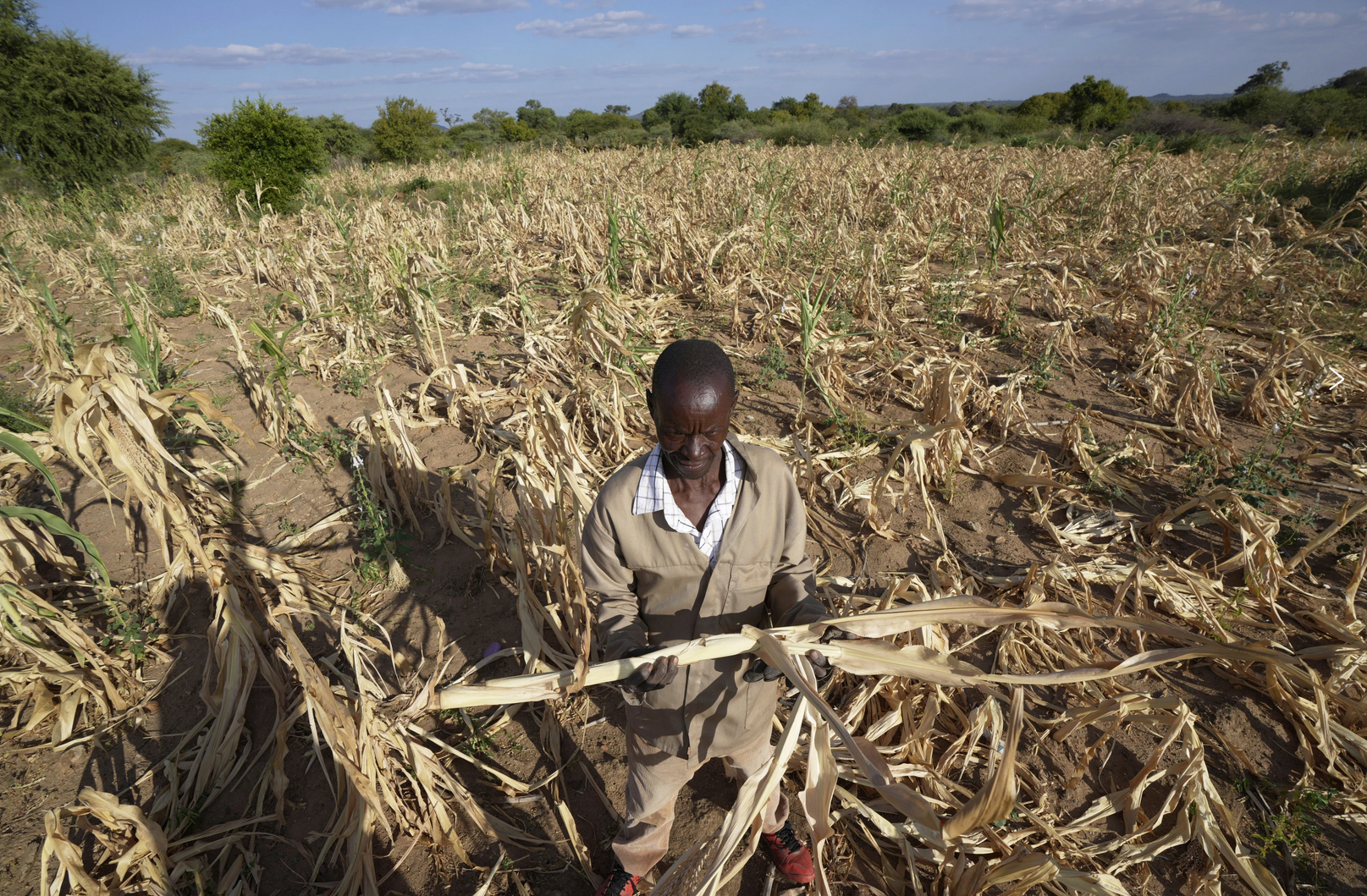 Millions Face Hunger in Southern Africa as Drought Devastates Crops