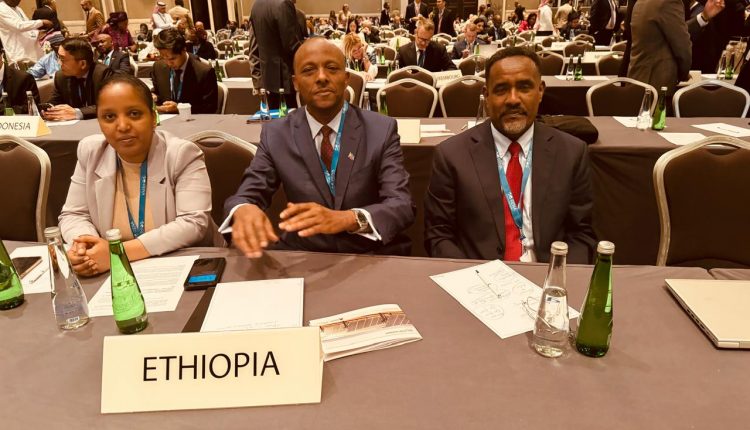 Ethiopia Participates in the International Renewable Energy Summit
