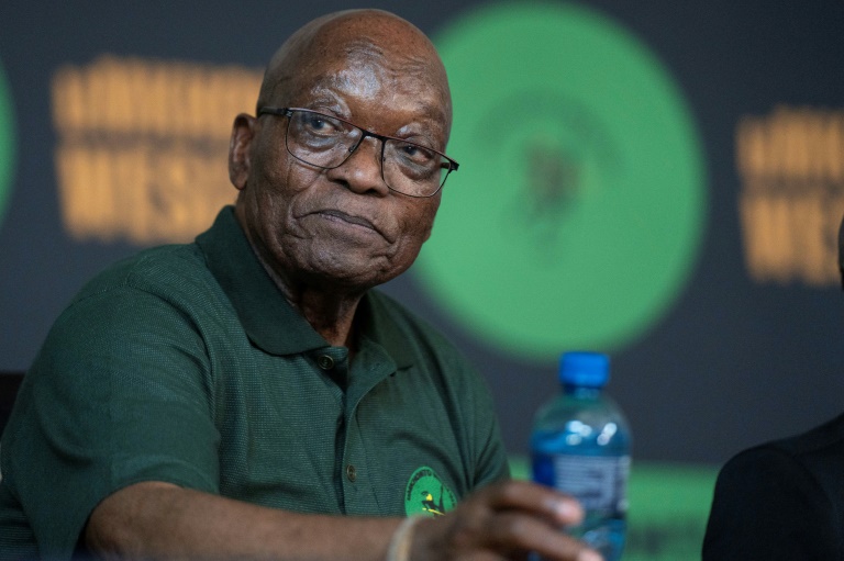 Africa's Top Court Hears Critical Zuma Election Case