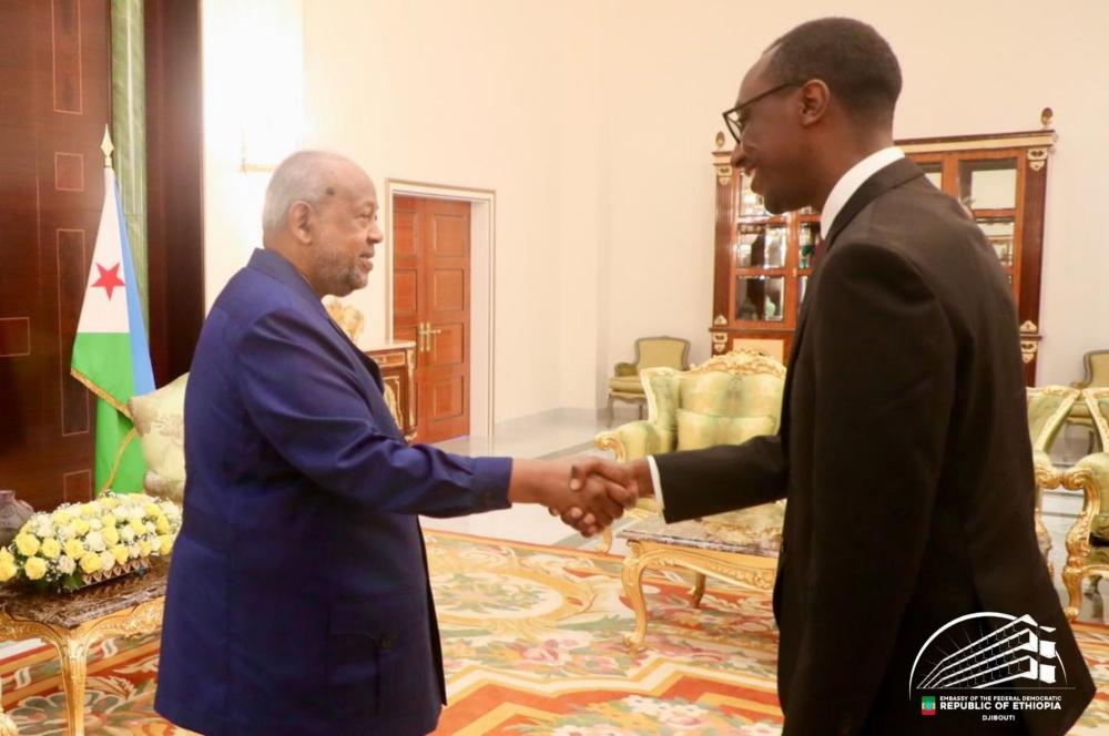 Ethiopia, Djibouti Collaborate on Regional Peace, Stability