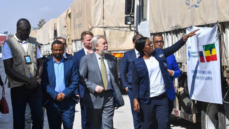 Russian Companies Developing Promising Projects in Ethiopia: Ambassador Terekhin