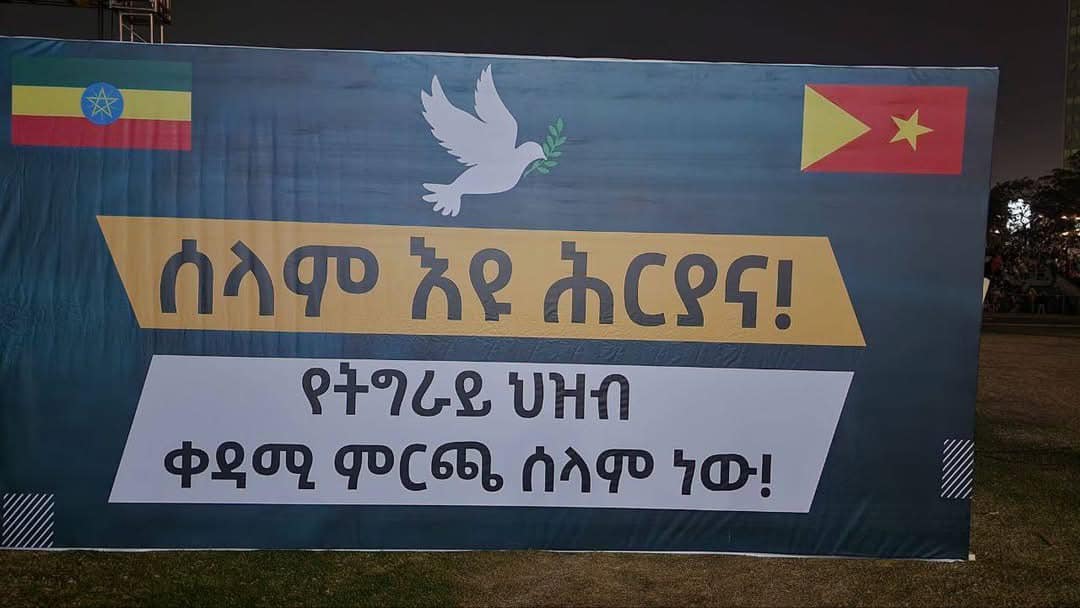 Tigrayans in Addis Ababa Stage Peaceful Rally for Peace